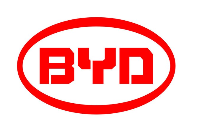 BYD_in_top_three_EVs_sales_2020_7438_0.jpg