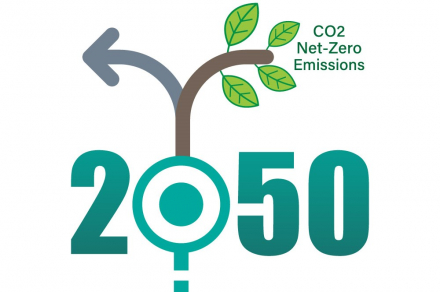 net_zero_emission_trend_by_2050_8167_0.jpg