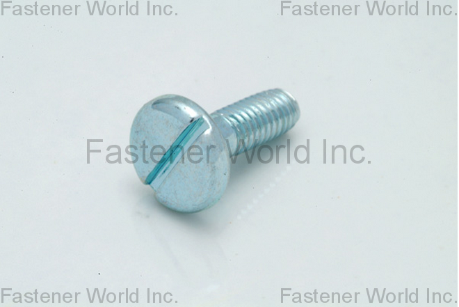 HO HONG SCREWS CO., LTD.  , Thin Head Slotted , Slotted Nuts