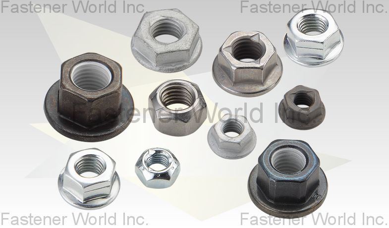 Hex Nuts With Conical Washers Hex Nut / Hex Flange Nut