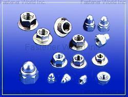 WAYNETEL INDUSTRIAL CO., LTD.  , CONICAL NUTS  DIN , Conical Washer Nuts
