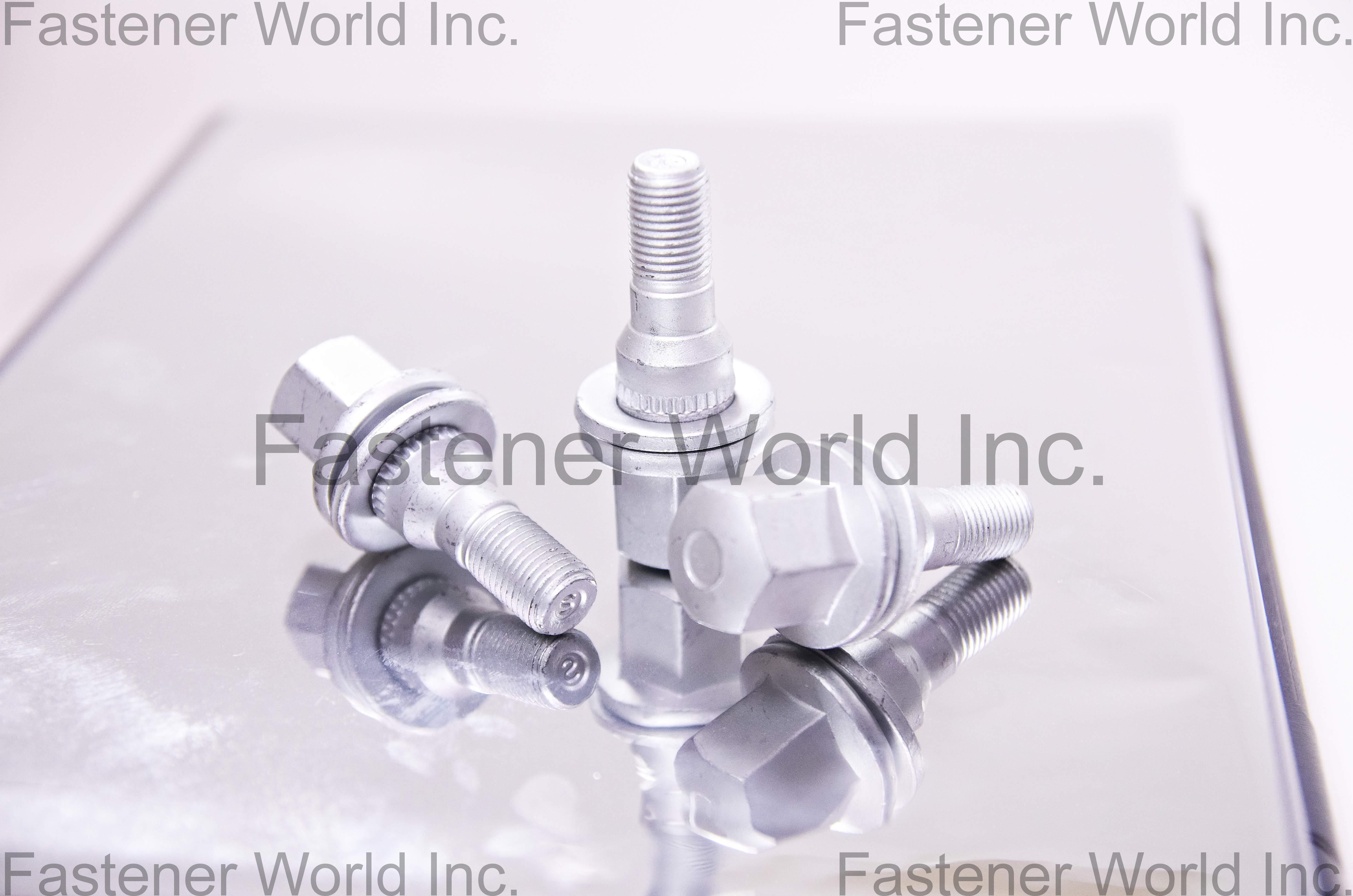輝能工業股份有限公司 , 客製化特殊螺絲 , 客製化特殊螺絲/栓