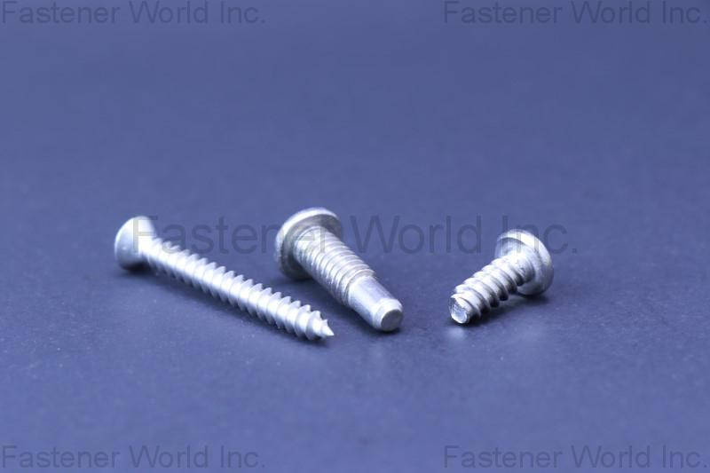 A-STAINLESS INTERNATIONAL CO., LTD. , TAPPING SCREW