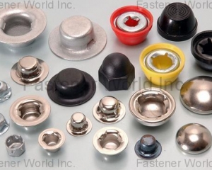 CAP NUTS & PUSH ON CAPS, FASTENERS(HWAGUO INDUSTRIAL FASTENERS CO., LTD.)