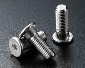 Speical Screw Stainless Steel AISI(SEN CHANG INDUSTRIAL CO., LTD. )
