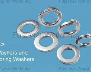 Washers & Spring Washers(TONG MING ENTERPRISE CO., LTD. )