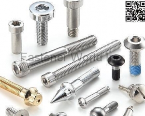 Customized Special Screws / Bolts(DA-WANG SCREW INDUSTRIAL CO., LTD. (DA-WANGねじ工業株式会社))