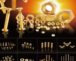 standard and nonstandard fasteners and hardware components(HAIYAN SANHUAN FASTENERS CO., LTD.)
