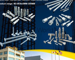 Special Anchors, Construction Parts, Auto Parts, T-Bolts, Multitooth Drive Screws, Screwbolts, Hand Tools(YICIscrew CO., LTD.)