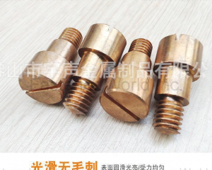 Copper bolts Phosphor bronze special bolts with shoulder(Chongqing Yushung Non-Ferrous Metals Co., Ltd.)