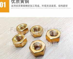 Copper nuts brass nuts(Chongqing Yushung Non-Ferrous Metals Co., Ltd.)