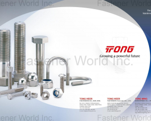 Stainless Steel Fasteners(TONG HEER FASTENERS CO., SDN. BHD )