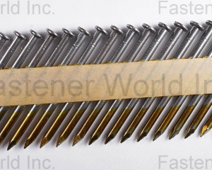 fastener-world(TRINITY STEEL PRIVATE LIMITED )