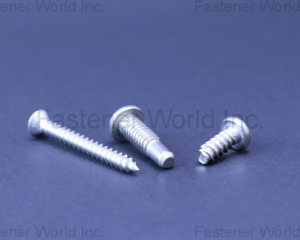 TAPPING SCREW(A-STAINLESS INTERNATIONAL CO., LTD.)