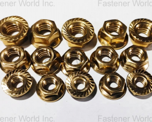 Brass Flange Nuts(Chongqing Yushung Non-Ferrous Metals Co., Ltd.)