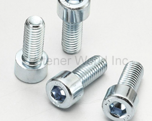 socket screw(ZE XIN FASTENERS)