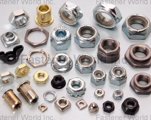 ALL KINDS OF NUTS, FASTENERS(HWAGUO INDUSTRIAL FASTENERS CO., LTD.)