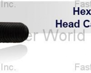 HEXAGON HEAD HEAD CAP SCREWS(MAUDLE INDUSTRIAL CO., LTD. )