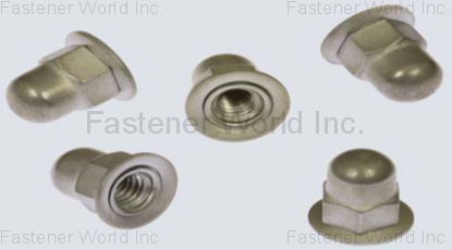 WINKEP INDUSTRIAL CO., LTD. , Cap conical washer nut