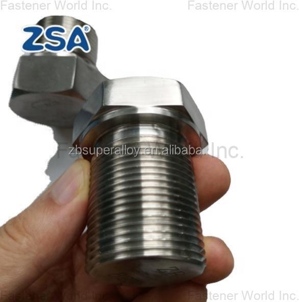 JIANGSU ZSA INDUSTRY CO., LTD , Hexagon Plug, Incoloy 825