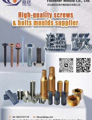 HEBEI CHAOYUE STANDARD FASTENER MOULD CO., LTD.