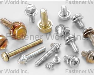 fastener-world(CHIAN YUNG CORPORATION  )