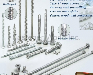 Type 17 wood screw, Square thread, Triple Spirals Screws, Double Spirals, Hexlobular Thread(A-STAINLESS INTERNATIONAL CO., LTD.)