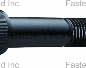 fastener-world(MAUDLE INDUSTRIAL CO., LTD.  )