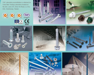 fastener-world(RAY FU ENTERPRISE CO., LTD. )