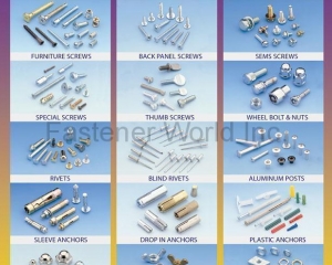 Wood Screw, Roofing Screw, Painting Screw, Sems Screw, Back Panel Screw, Furniture Screw, Special Screw, Thumb Screw, Wheel Bolt & Nut, Rivets, Blind Rivet, Aluminum Posts, Plastic Anchor, Drop In Anchor, Sleeve Anchor, Cap Nut, Wing Nut, Stamping Nut(MASTER UNITED CORP. )