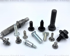 fastener-world(ARK FASTECH CORP )