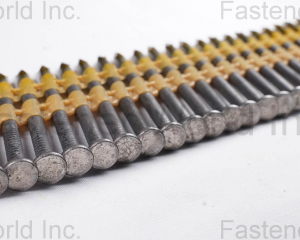 Plastic Collated Nails(TRINITY STEEL PRIVATE LIMITED)