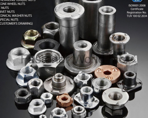 Hex Nuts / Square Nuts, Welding Nuts, Flange Nuts, Prevailing Torque Nuts, Cone Wheel Nuts, T-Nuts, Rivet Nuts, Conical Washer Nuts, Special Nuts(AUTOLINK INTERNATIONAL CO., LTD.)