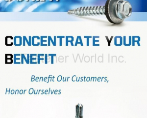 fastener-world(CHANG YI BOLT CO., LTD. )