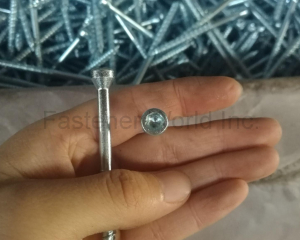 fastener-world(NINGBO SUNLONG IMP AND EXP CO., LTD. )