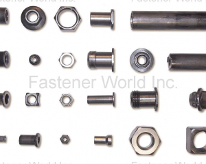 fastener-world(WIZTECH FASTENER LTD. )