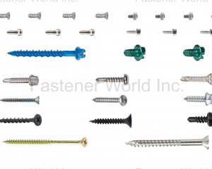 Construction fasteners(SHANGHAI SCREWTOOL INDUSTRIAL CO., LTD.)