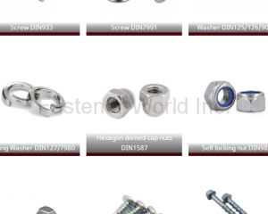 fastener-world(SHANGHAI SCREWTOOL INDUSTRIAL CO., LTD. )