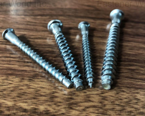 fastener-world(HAINING JINJIE METAL CO., LTD. )