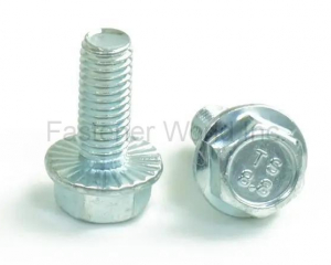 fastener-world(NINGBO TRANSHOW FASTENER CO., LTD. )