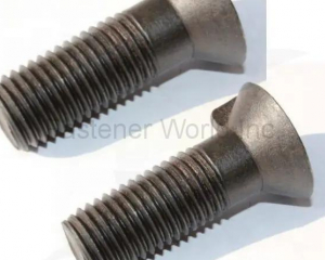 fastener-world(NINGBO TRANSHOW FASTENER CO., LTD. )