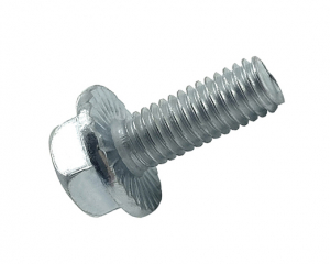 fastener-world(JIAXING CAVORT HARDWARE CO., LTD.  )