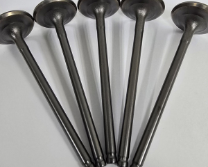 fastener-world(CHUNG JIH METAL TREATMENT CHEMICALS. INC. )