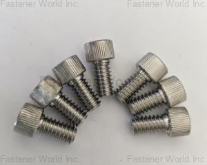 fastener-world(JIANGSU ZSA INDUSTRY CO., LTD )