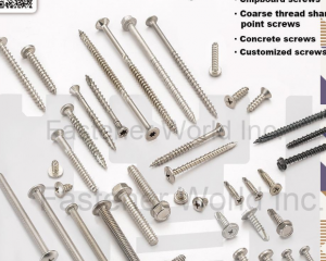 fastener-world(WINTEX INDUSTRY CO., LTD. )