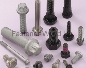 fastener-world(SAN SHING FASTECH CORP.  )