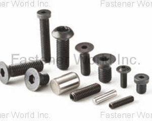 fastener-world(INFASTECH/TRI-STAR LIMITED TAIWAN BRANCH )