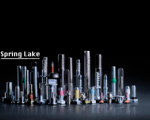 fastener-world_SPRING LAKE ENTERPRISE CO., LTD.   fastener-world(SPRING LAKE ENTERPRISE CO., LTD.  )